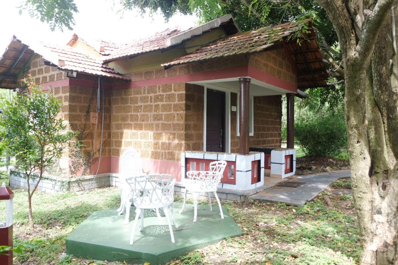 Chalets Resort Masinagudi Ооти Екстериор снимка