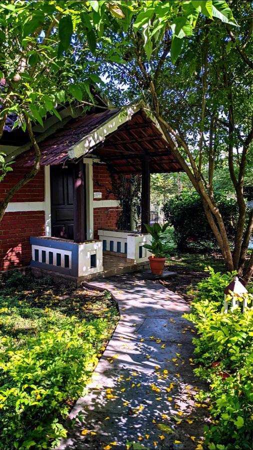 Chalets Resort Masinagudi Ооти Екстериор снимка