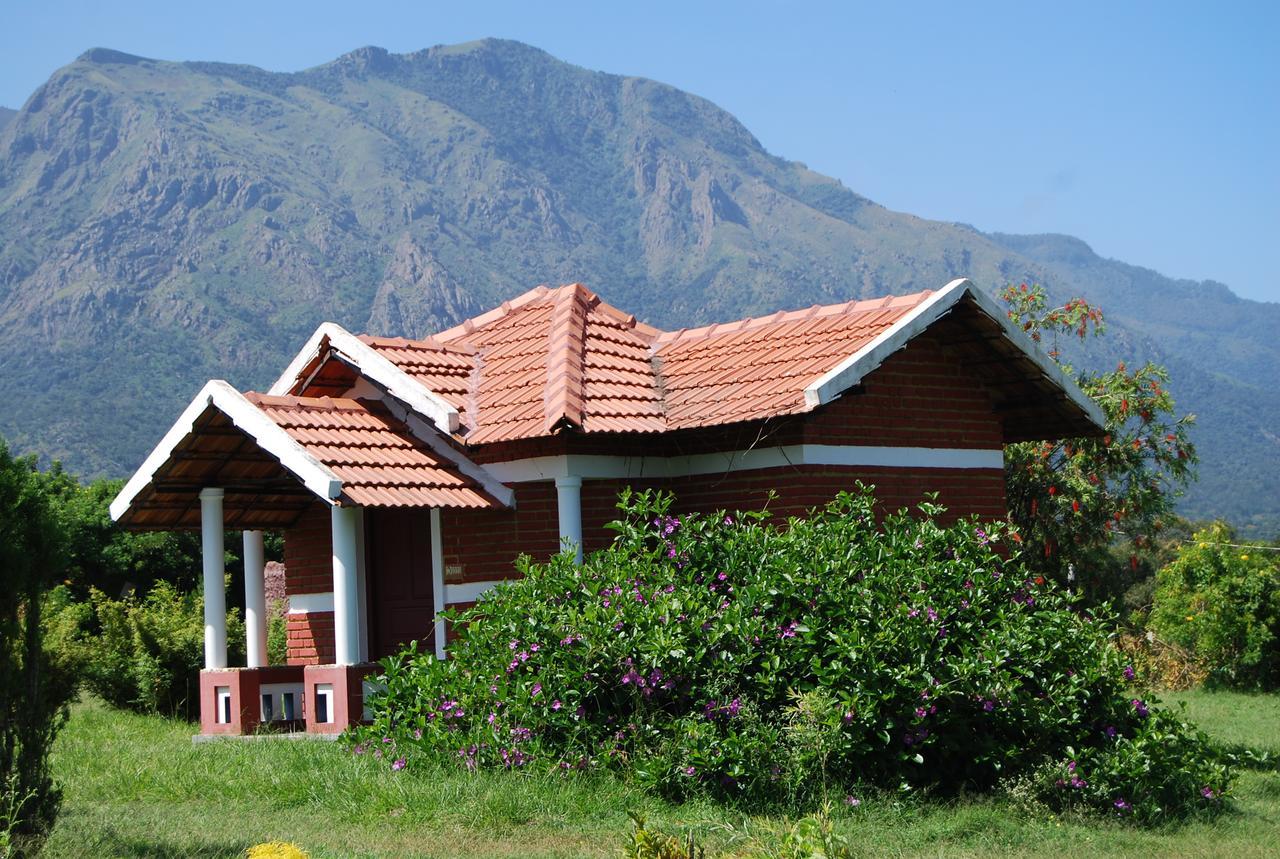 Chalets Resort Masinagudi Ооти Екстериор снимка